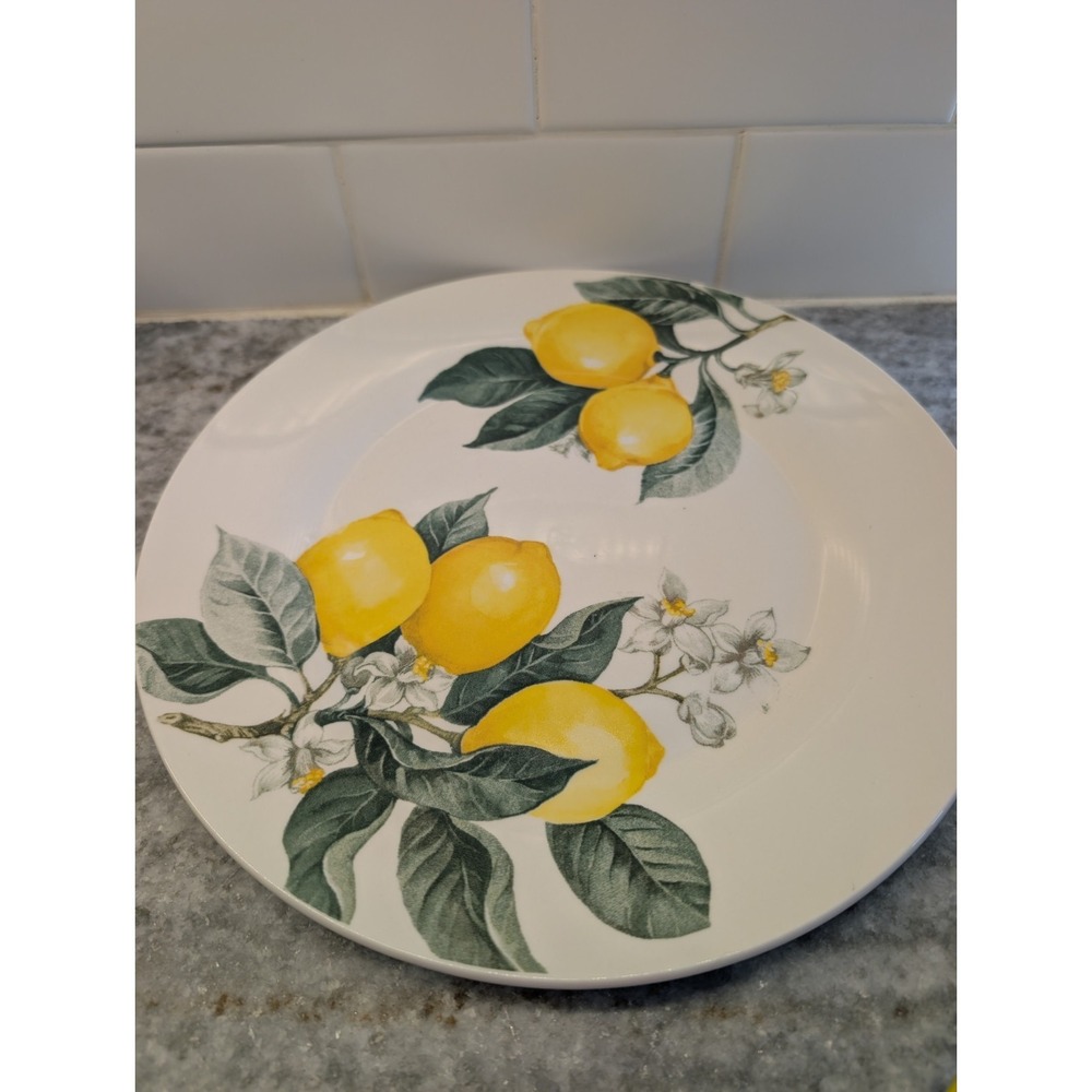 Royal Norfolk Tuscan Lemon Print Ceramic Stoneware Round Dinner Plate 10.5"